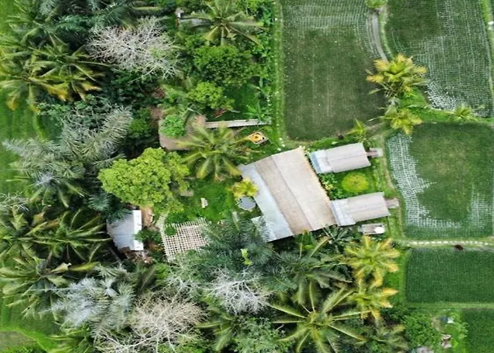 Tiny Eco Bamboo Ubud Кемпинг